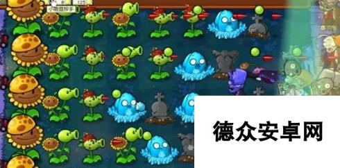 植物大战僵尸杂交版前院告急第8关通关攻略